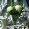 Best wishes 1